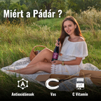 Ribizlibor Válogatás