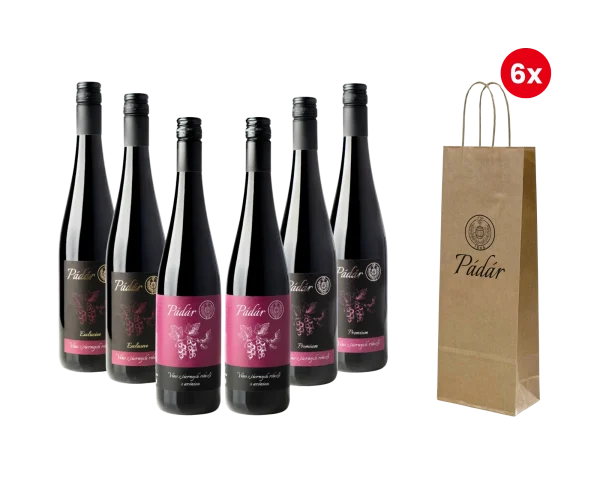 Pachet TOP + 6x geantă Pádár